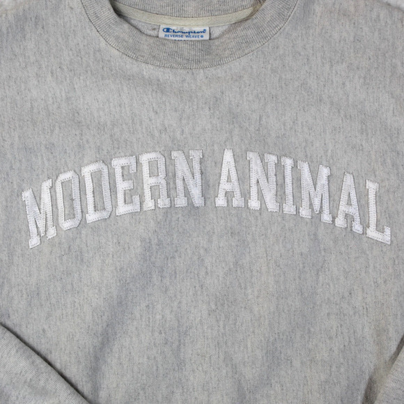 Champion Reverse Weave Sweatshirt Mens Small Gray Embroidered Campus Colligate - Picture 3 of 6